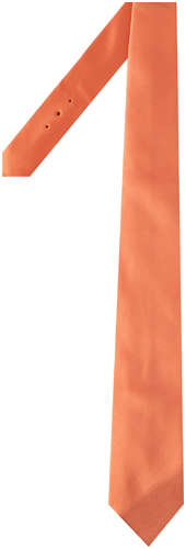 Галстук STEFANO RICCI 170288 / 102207198 - вид 2