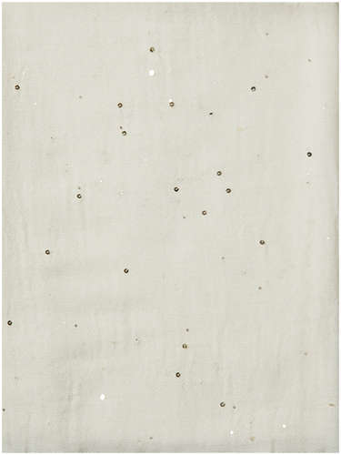 Палантин PESERICO 102213454