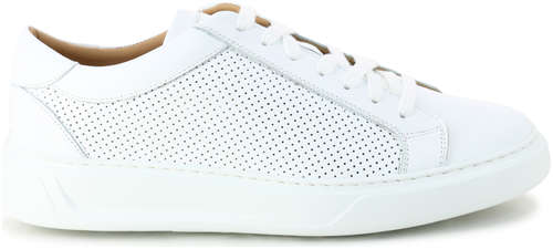 Кроссовки PELLETTIERI DI PARMA 166665 / 10287590 - вид 2