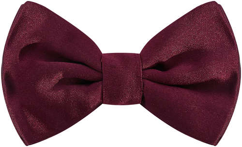 Бабочка CORNELIANI 102197377