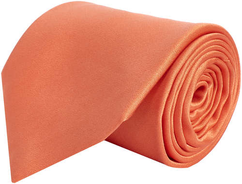 Галстук STEFANO RICCI 102207198