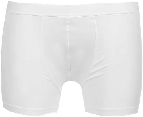 Трусы STEFANO RICCI 102204314