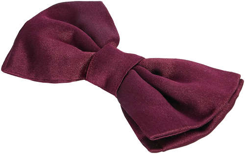 Бабочка CORNELIANI 194064 / 102197377 - вид 2