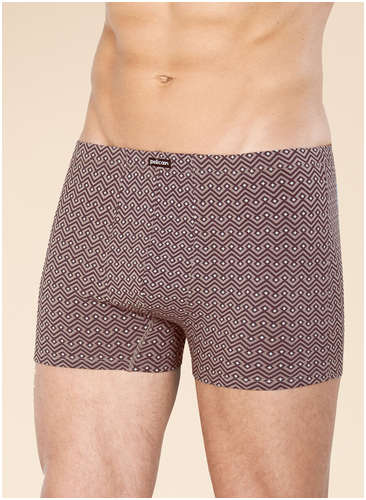 Трусы Pelican / 103200161 - вид 2