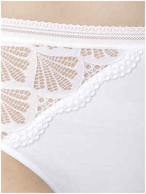 Трусы Pelican / 10382013 - вид 2