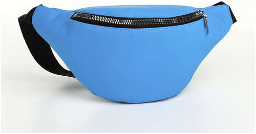 Сумка поясная на молнии, цвет синий / 103200291 - вид 2
