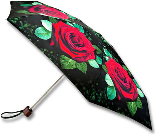 Зонт FULTON 103213118