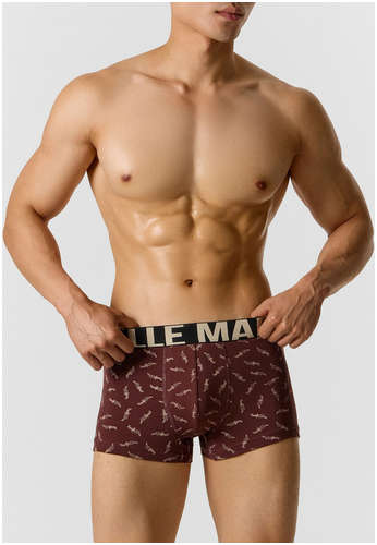 Трусы боксеры мужские коричневые с принтом Mark Formelle / 103241356 - вид 2