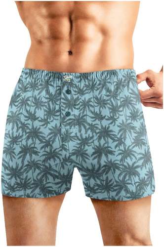 Трусы CLEVER 103236839