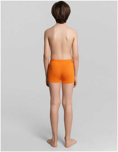 Трусы купальные для мальчиков оранжевые Mark Formelle / 103231305 - вид 2