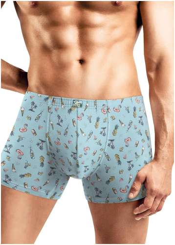 Трусы CLEVER 103236900