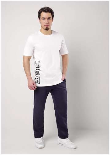 Брюки ЭЙС 103238451