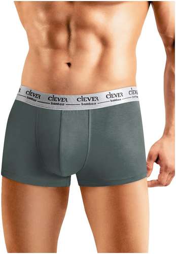 Трусы CLEVER 103197859