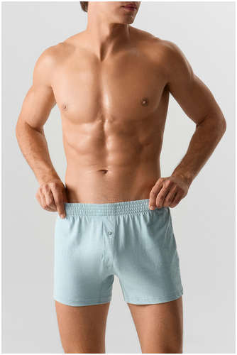 Трусы шорты мужские голубые Mark Formelle / 103242223 - вид 2