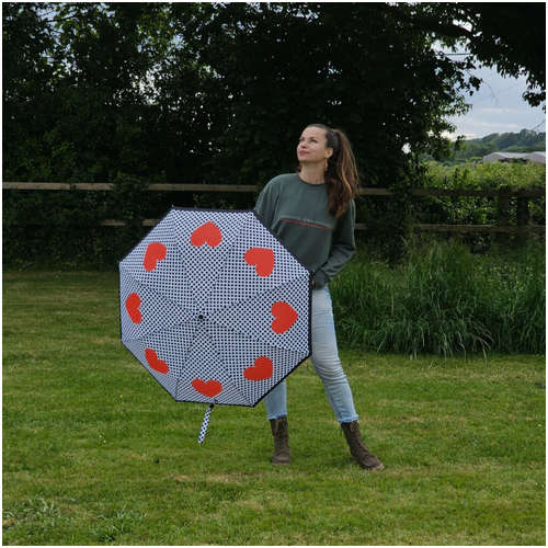 Зонт FULTON / 103213128 - вид 2