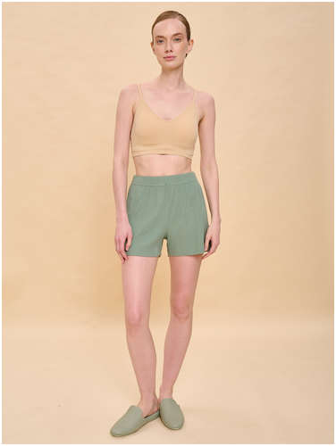 Шорты Pelican 103208683