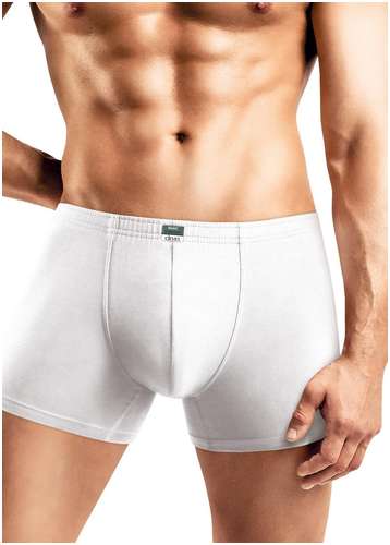 Трусы CLEVER 103222480