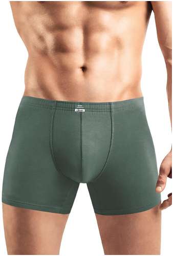 Трусы CLEVER 103241618