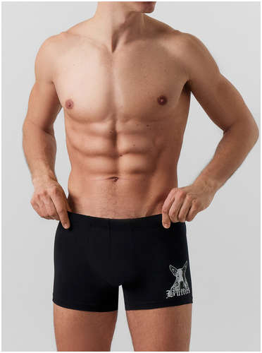 Трусы боксеры мужские черные с принтом Mark Formelle / 103231266 - вид 2