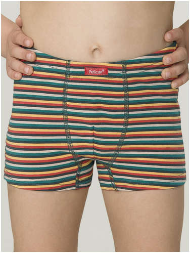 Трусы Pelican / 103135558 - вид 2