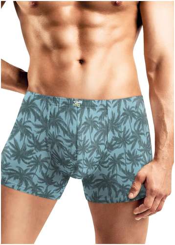 Трусы CLEVER 103236923