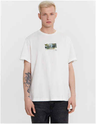 Футболка мужская белая с принтом в виде картины Mark Formelle 103236746