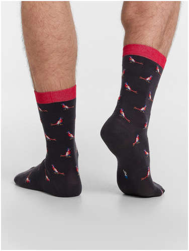 Носки мужские Mark Formelle / 103220691 - вид 2