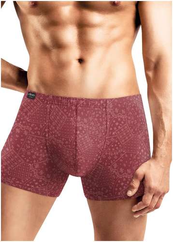 Трусы CLEVER 103236275