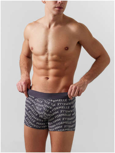 Трусы боксеры мужские серые с текстовым принтом Mark Formelle / 103223289 - вид 2