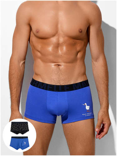 Трусы мужские (2шт) Mark Formelle 103239855