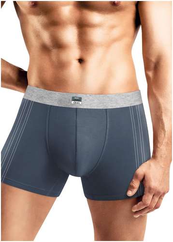 Трусы CLEVER 103222428