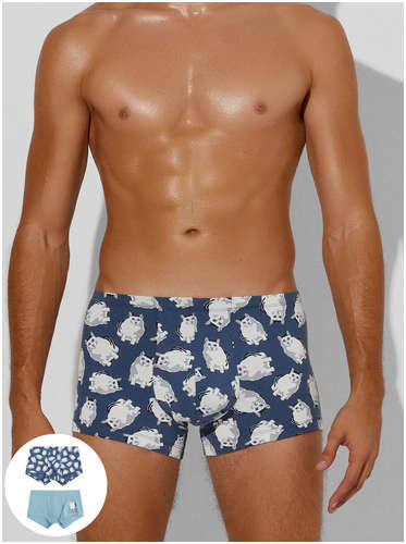 Трусы мужские (2шт) Mark Formelle 103235801