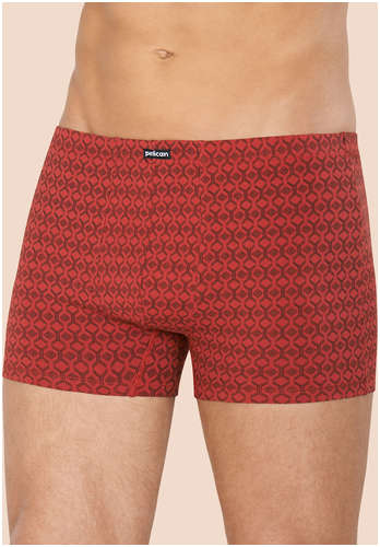 Трусы Pelican / 103200162 - вид 2