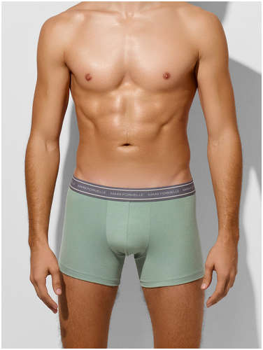 Трусы боксеры мужские зеленые Mark Formelle 103239445