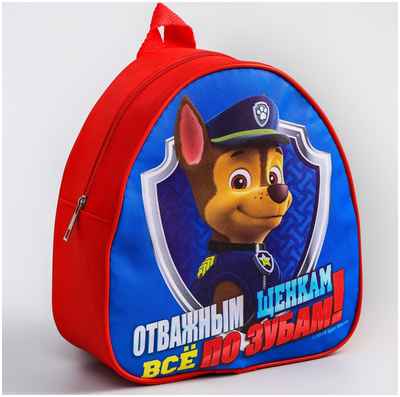 Детский набор рюкзак + пенал Paw Patrol / 1034483 - вид 2