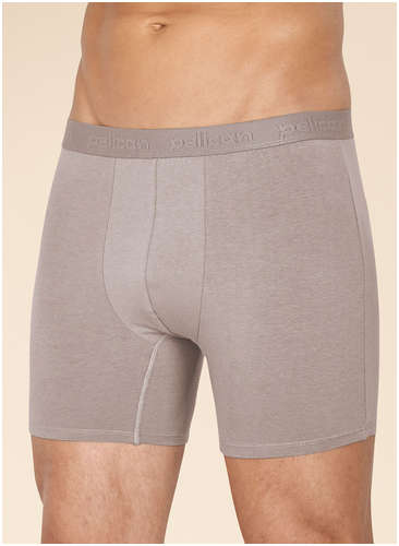 Трусы Pelican / 103201469 - вид 2