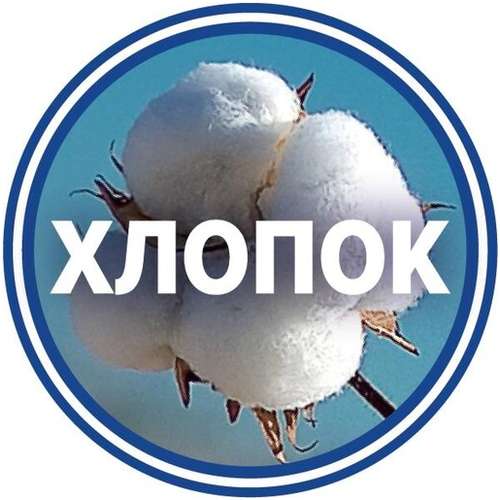 Трусы CLEVER / 103222640 - вид 2