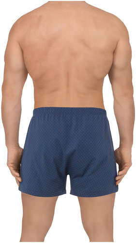 Трусы Den Rey / 103193305 - вид 2