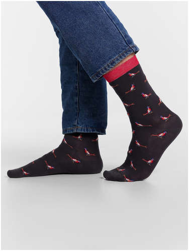 Носки мужские Mark Formelle 103220691