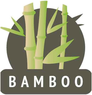 Носки CLEVER / 10388510 - вид 2