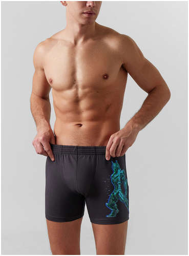 Трусы боксеры мужские удлиненные серые с принтом Mark Formelle / 103223262 - вид 2