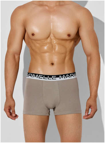 Трусы боксеры мужские серые Mark Formelle 103241383