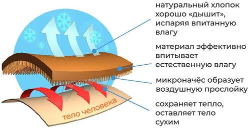 Кальсоны CLEVER / 103243208 - вид 2