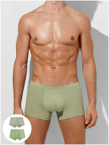 Трусы мужские (2шт) Mark Formelle 103231284