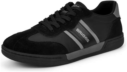 BRIGGS 098-5430A-2202 / 10558060 - вид 2