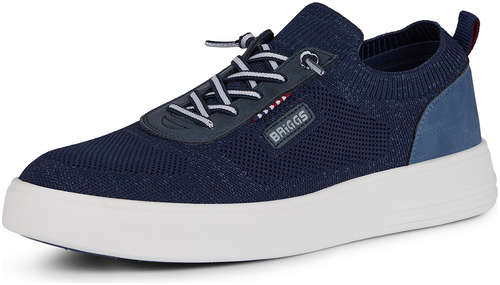 BRIGGS 018-008E-9203 / 10559578 - вид 2