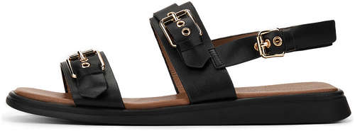 Thomas Munz 10558427