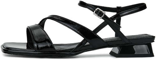 Thomas Munz 10558913