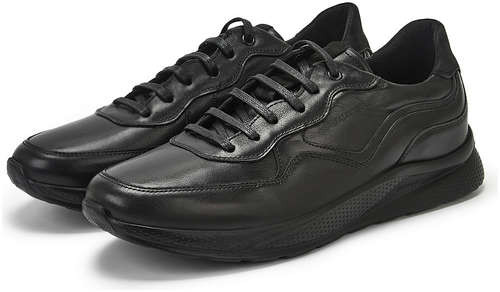 SALAMANDER 331-110B-2102 / 10566001 - вид 2