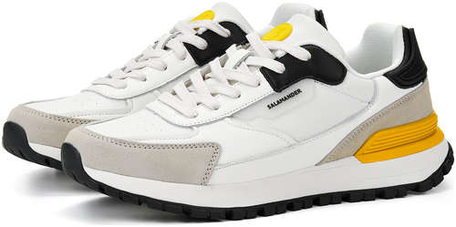 SALAMANDER 271-4430C-2101 / 10558817 - вид 2